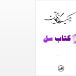دانلود پی دی اف کتاب کیمیا خاتون دختر رومی مائو فروی PDF