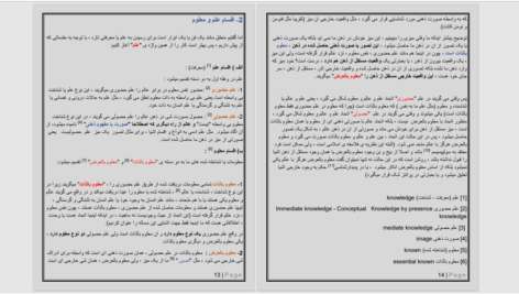 دانلود پی دی اف کتاب اصطلاحات فلسفه و منطق صوری PDF