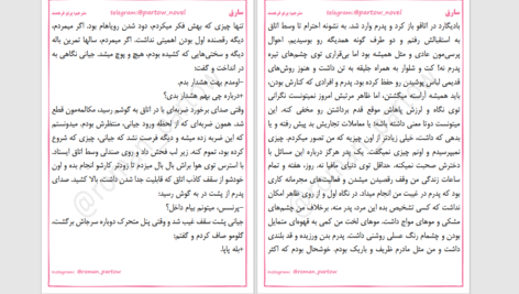 دانلود پی دی اف کتاب سارق ۵ پرتو فرهمند PDF