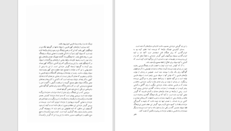 دانلود پی دی اف کتاب فرهنگ گویشی خراسان بزرگ امیر شالچی PDF