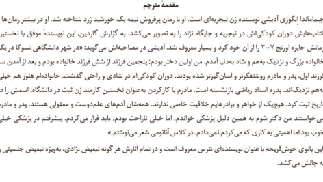 دانلود پی دی اف کتاب مانیفست یک فمینیست در پانزده پیشنهاد چیماماندا انگوزی آدیشی PDF