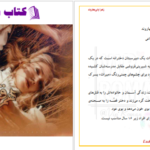 دانلود پی دی اف کتاب دانلود پی دی اف کتاب هم قبیله زهرا ولی بهاروند PDF