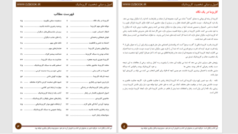 دانلود پی دی اف کتاب اصول و مبانی کاریزماتیک رضا فریدون نژاد PDF