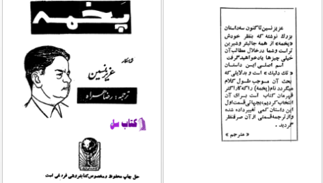 دانلود پی دی اف کتاب پخمه PDF