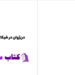 دانلود پی دی اف کتاب دن‌ژوان در شیکاگو دیوید آیرز PDF