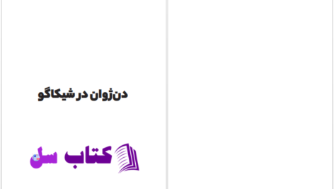 دانلود پی دی اف کتاب دن‌ژوان در شیکاگو دیوید آیرز PDF