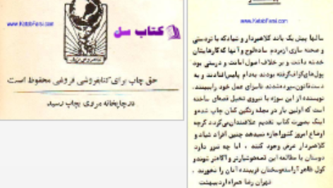 دانلود پی دی اف کتاب بازرس مخفی رضا همراه PDF