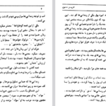 دانلود پی دی اف کتاب آدم های بی شناسنامه عزیزنسین PDF