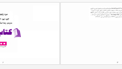 دانلود پی دی اف کتاب مرد زنجبیلی جی پی دانلیوی PDF