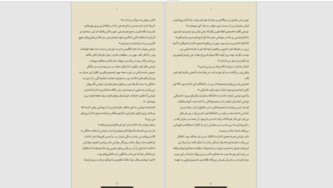 دانلود پی دی اف کتاب گوتیک مکزیکی یا جنون مکزیکی PDF