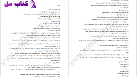 دانلود پی دی اف کتاب مریم پاییزی الهه محمدی PDF