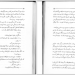 دانلود پی دی اف کتاب بچه‌های کوچک این قرن کریستیان روشفور PDF