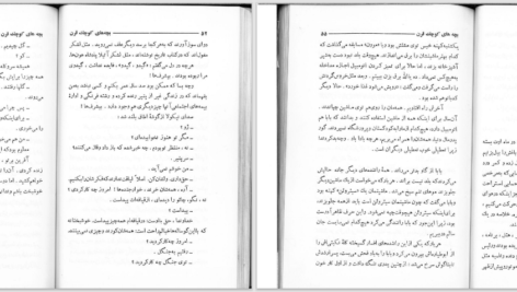 دانلود پی دی اف کتاب بچه‌های کوچک این قرن کریستیان روشفور PDF