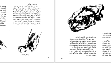 دانلود پی دی اف کتاب گربه سانان بزرگ دزموند موریس PDF