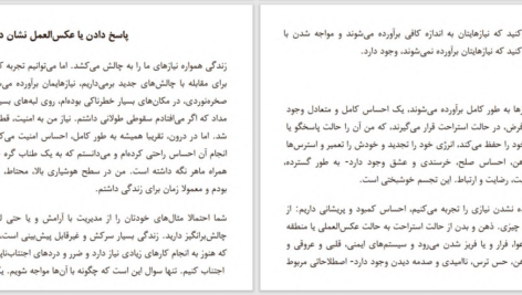 دانلود پی دی اف کتاب انعطاف‌پذیری ریک هانسون و فارست هانسون PDF