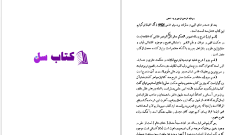 دانلود پی دی اف کتاب حکمت الهی جلد 2 PDF