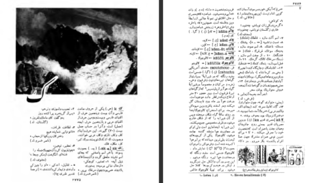 دانلود پی دی اف کتاب فرهنگ فارسی 3 دکتر محمد معین PDF