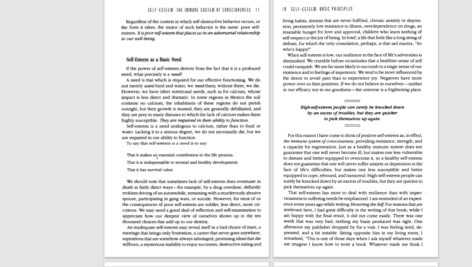 دانلود پی دی اف کتاب The Six Pillars of Self Esteem The Definitive Work on Self Esteem PDF