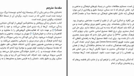 دانلود پی دی اف کتاب ناخدایان خاک و شن ژرژه آمادو PDF