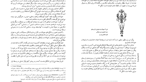 دانلود پی دی اف کتاب تاریخ ایران سرزمین همیشه ماندگار ر.گیرشمن PDF