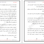 دانلود پی دی اف کتاب هوس و آبرو لیانا دیاکو PDF