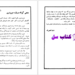 دانلود پی دی اف کتاب پخمه PDF