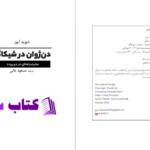 دانلود پی دی اف کتاب دن‌ژوان در شیکاگو دیوید آیرز PDF