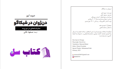 دانلود پی دی اف کتاب دن‌ژوان در شیکاگو دیوید آیرز PDF