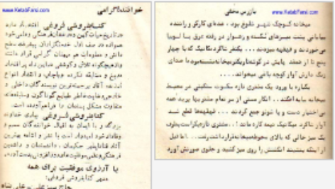 دانلود پی دی اف کتاب بازرس مخفی رضا همراه PDF