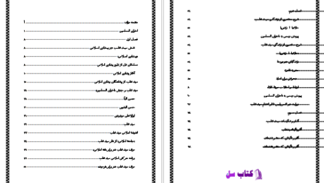 دانلود پی دی اف کتاب سید قطب و بیداری اسلامی PDF