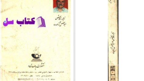 دانلود پی دی اف کتاب ایرانشناسی ابولفضل ازموده PDF