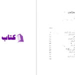 دانلود پی دی اف کتاب نقش پادشاهان ایران در ادبیات پارسی PDF