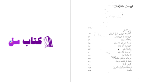 دانلود پی دی اف کتاب نقش پادشاهان ایران در ادبیات پارسی PDF
