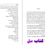 دانلود پی دی اف کتاب سفرنامهٔ کروسینسکی PDF
