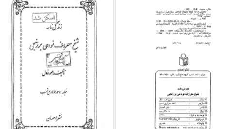 دانلود پی دی اف کتاب کتاب زندگی نامه شیخ معروف نودهی برزنجی PDF