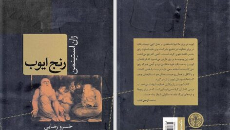 دانلود پی دی اف کتاب رنج ایوب ژان استینمن PDF