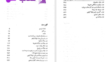 دانلود پی دی اف کتاب فاجعه سرخپوستان آمریکا دی براون PDF