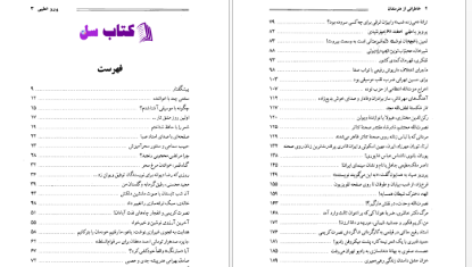 دانلود پی دی اف کتاب خاطراتی از هنرمندان فیروزه خطیبی PDF