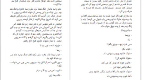دانلود پی دی اف کتاب دیوار آهنی PDF