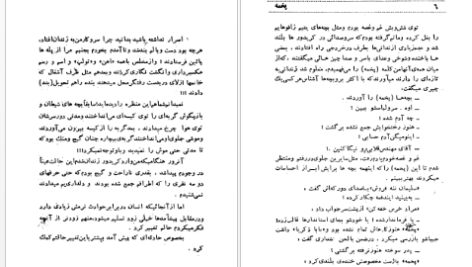 دانلود پی دی اف کتاب پخمه PDF