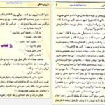 دانلود پی دی اف کتاب بازرس مخفی رضا همراه PDF