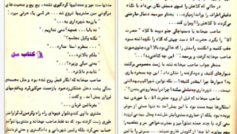 دانلود پی دی اف کتاب بازرس مخفی رضا همراه PDF