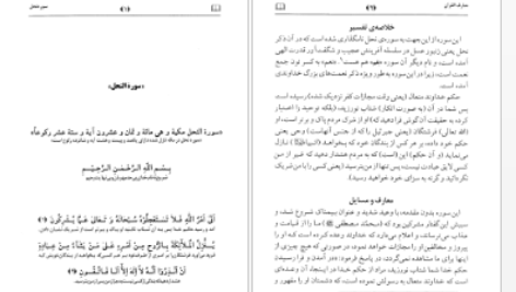 دانلود پی دی اف کتاب تفسیر معارف القرآن جلد هشتم PDF