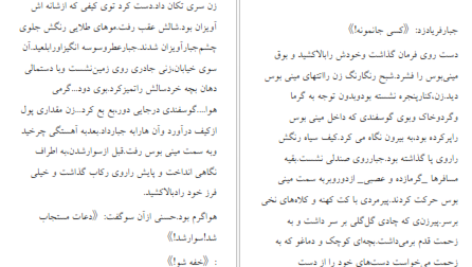 دانلود پی دی اف کتاب وحشی علی زیبایی PDF
