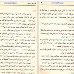 دانلود پی دی اف کتاب بازرس مخفی رضا همراه PDF
