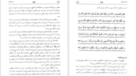دانلود پی دی اف کتاب تفسیر معارف القرآن جلد هشتم PDF