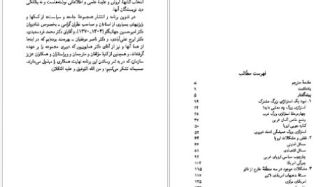 دانلود پی دی اف کتاب استراتژی بزرگ هلموت اشمیت PDF