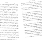  دانلود پی دی اف کتاب زن در دروه ساسانی PDF