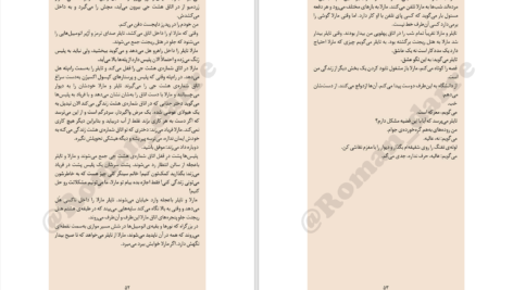 دانلود پی دی اف کتاب باشگاه مشت‌زنی چاک پالانیک PDF