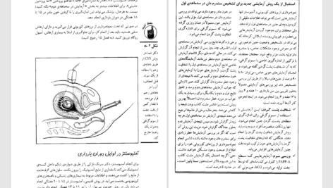 دانلود پی دی اف کتاب بارداری به زبان آدمیزاد جوآن ستون PDF